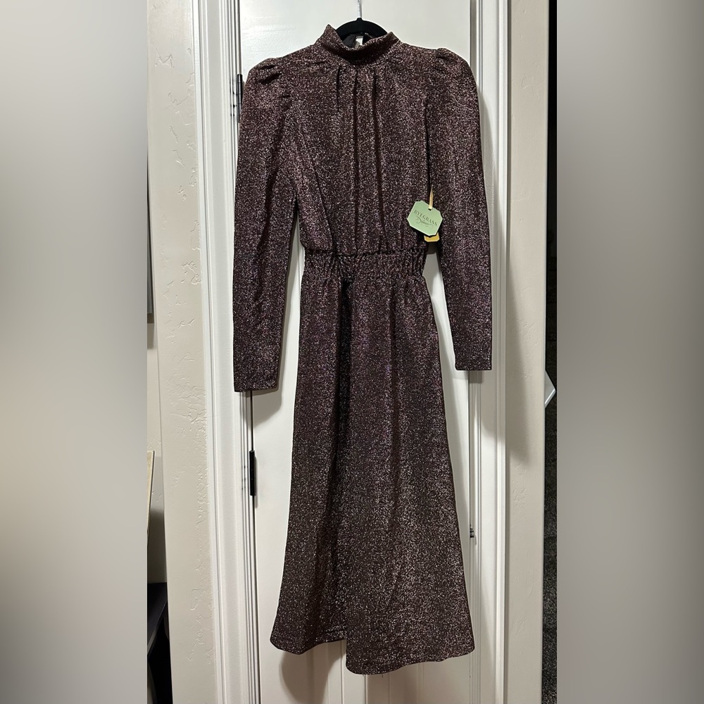 NWT Ryegrass bronze brown dress